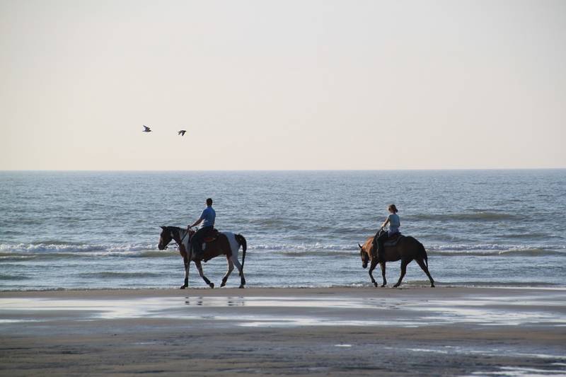 Eigen paard mee op vakantie