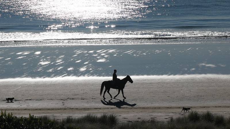 Strandritten maken op het Strand van Sint Maartenszee