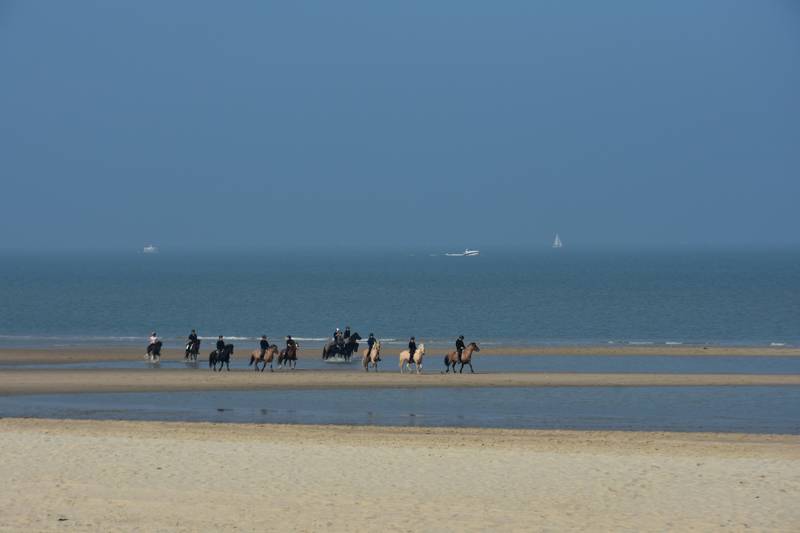Strandritten maken op het strand van Callantsoog