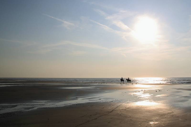 Strandritten maken op het strand van Callantsoog