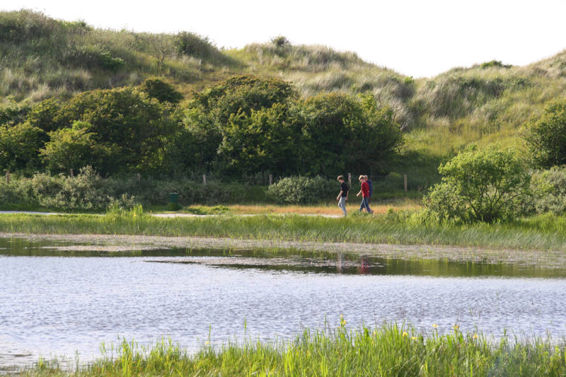 duinen strand