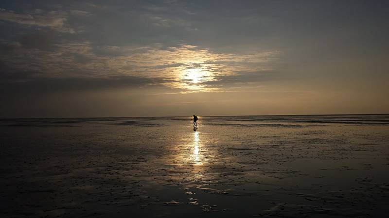 wadlopen strand zee callantsoog