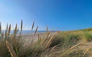 Strand Callantsoog LekkerNaarZee
