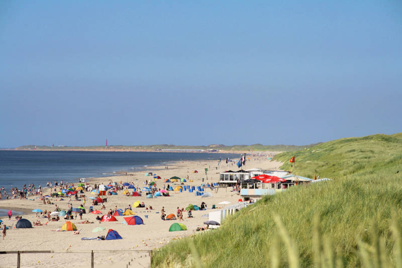 Zomerse dag 