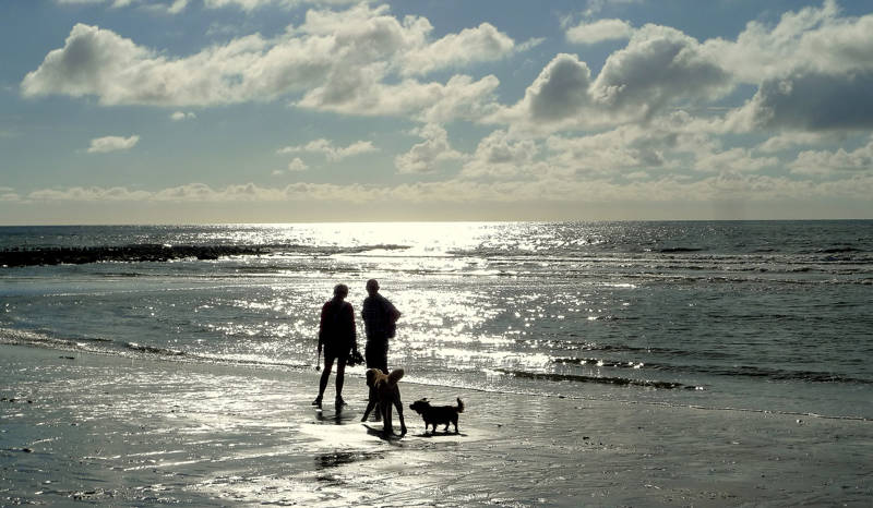 Met honden naar het Strand