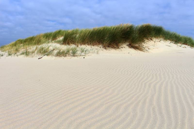 Duinen bij Groote Keeten