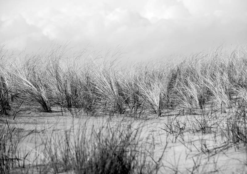 Duinen in de storm