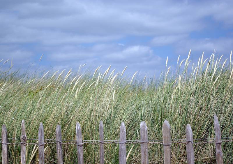 Duinen bij je vakantiehuis