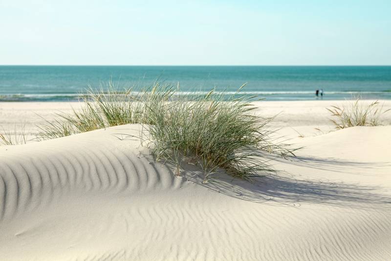 Duinen bij je vakantiehuis