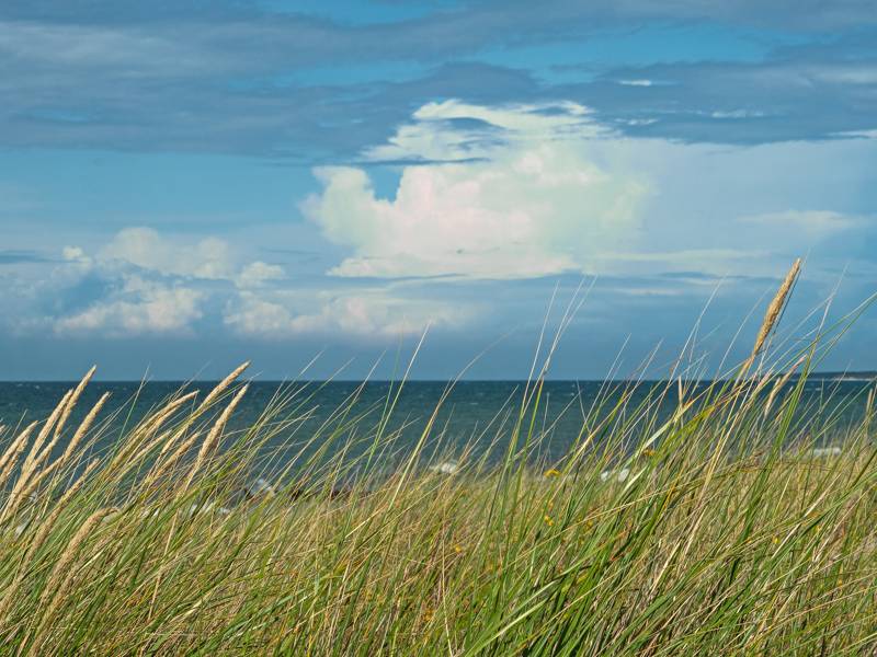 Duinen bij je vakantiehuis