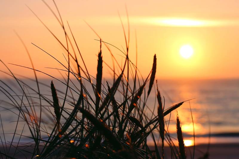 Zonsondergang bij je vakantiehuis in Callantsoog