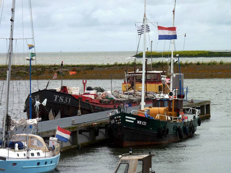 Zeehonden spotten