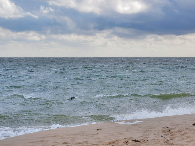 winters strand Callantsoog