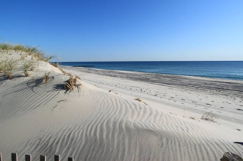 Duinen in de buurt van je vakantiehuis