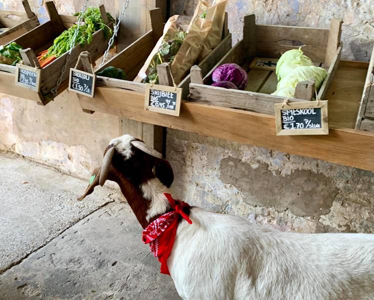 Boerderijwinkel Schagen