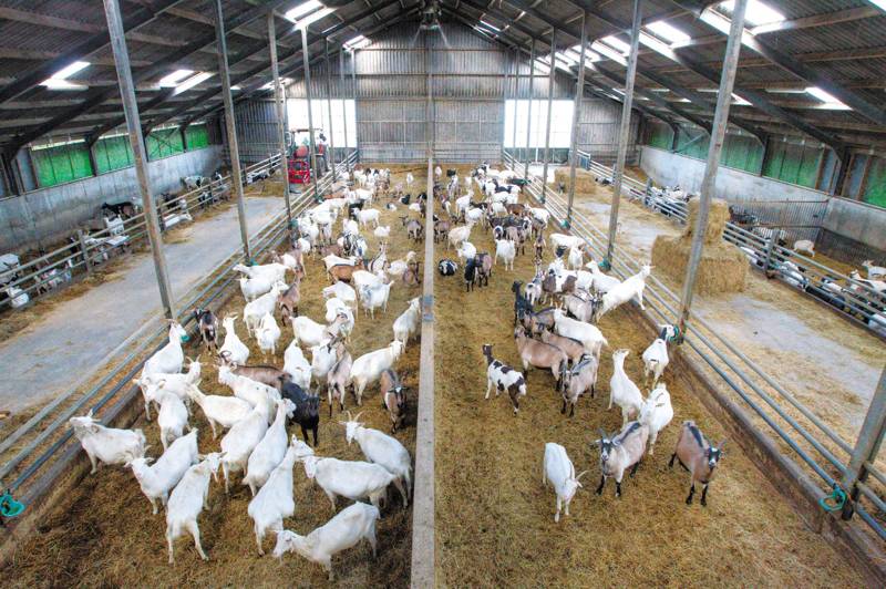 Boerderij bezoek tijdens je vakantie