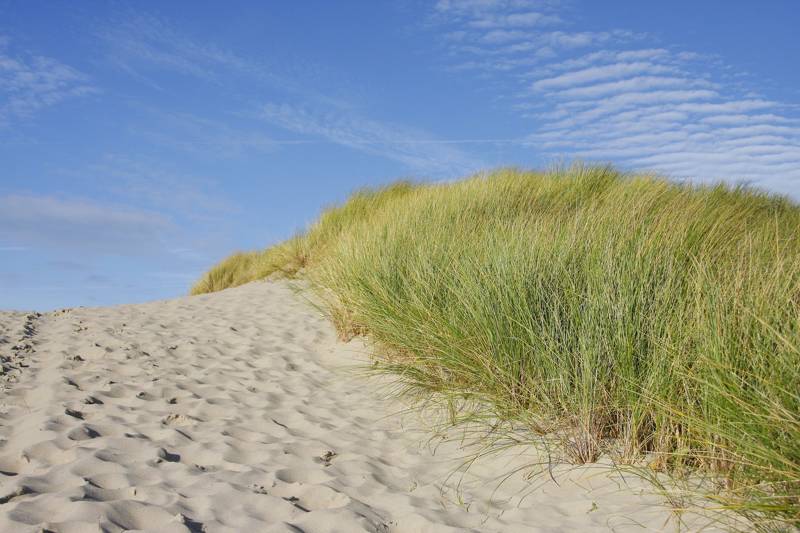 paardenrit over het strand