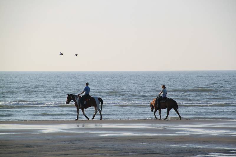 paardenrit over het strand