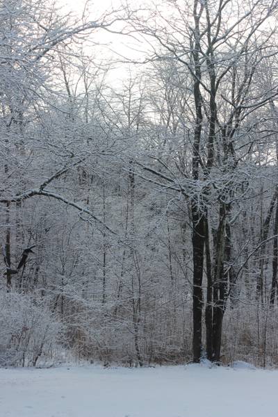 winterse omgeving van je vakantiehuis