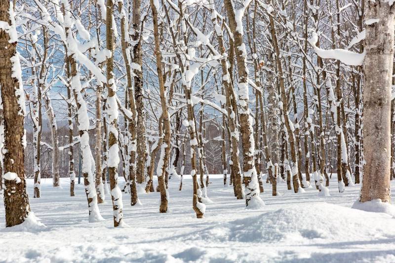 winterse omgeving van je vakantiehuis