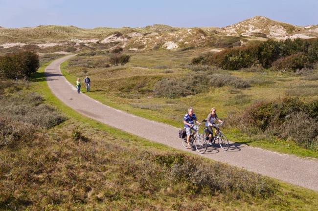 duinen strand natuur callantsoog