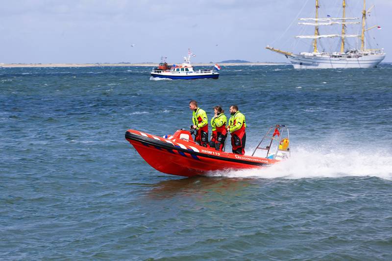 Zeehonden spotten lekker naar zee