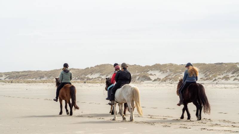 Paardrijden