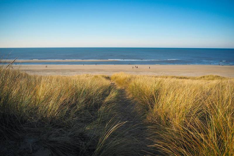 Strand
