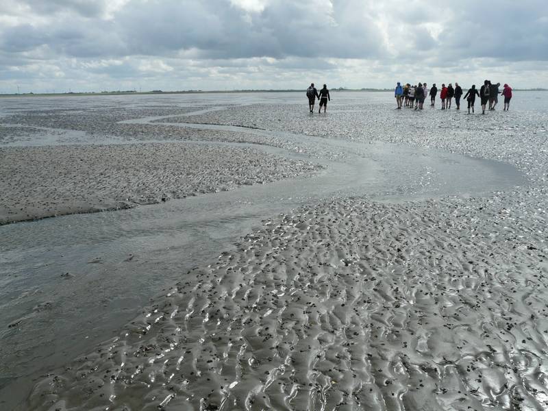 Wadlopen