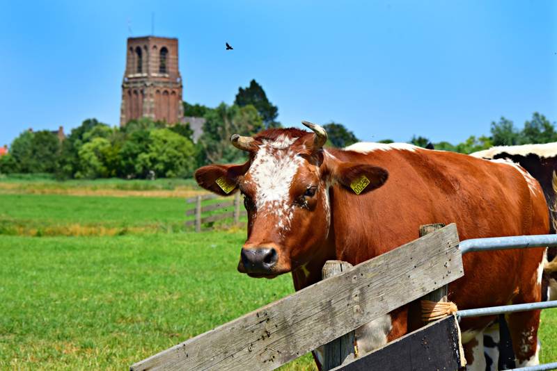 5 Leukste steden in Noord Holland vind je bij LekkerNaarZee