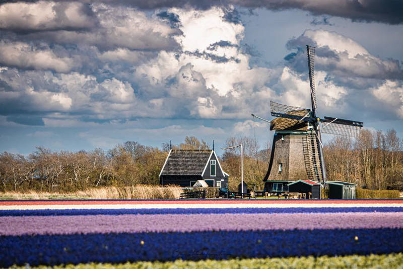 LekkerNaarZee Callantsoog Blog