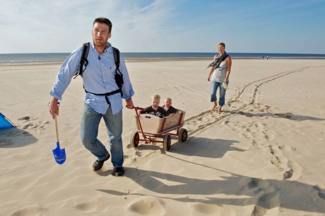 Texel
