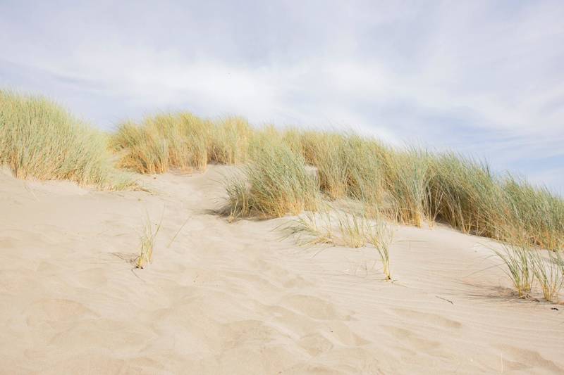 Duinen