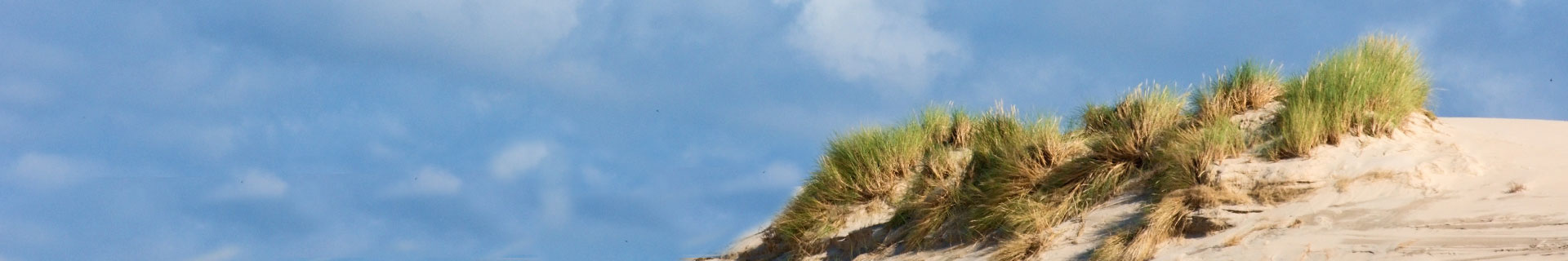 duinen bij Op t Landtweg 14