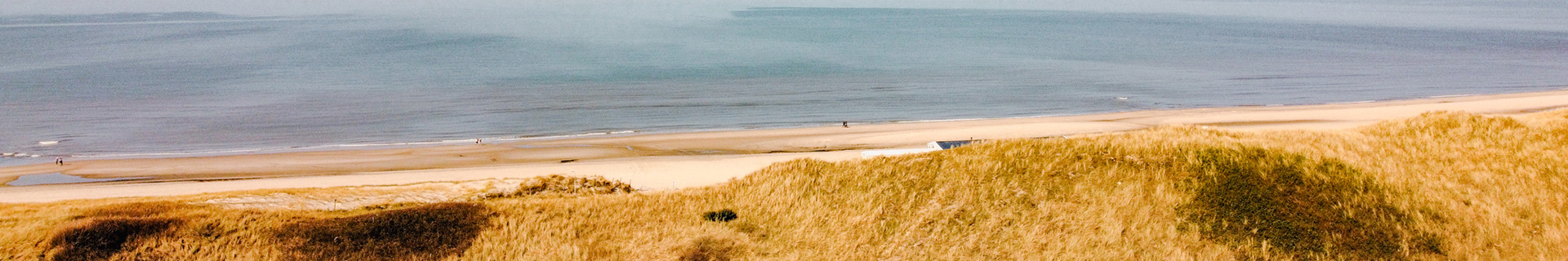 Header Strand