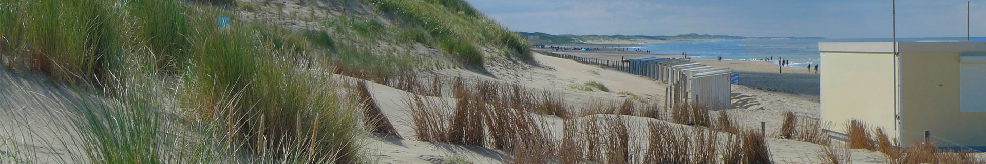 Header Strand