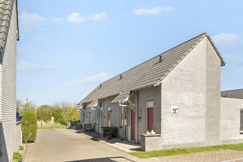 De Zeemeeuw