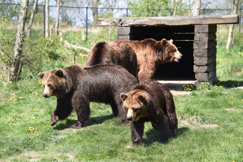 Landgoed/dierenpark Hoenderdaell