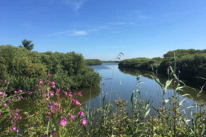 Zwanenwater