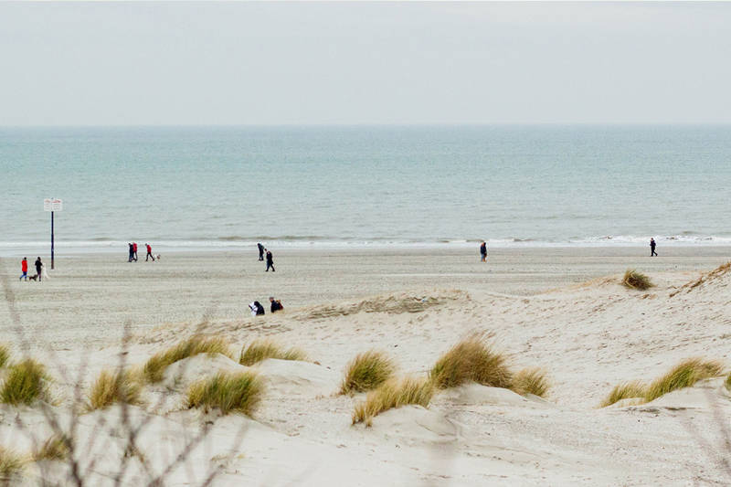 Strand