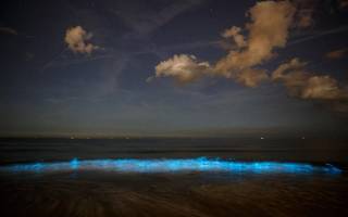 Header LekkerNaarZee Callantsoog