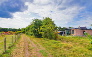 Herfst en Heide Callantsoog