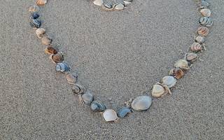 Strandjutten: wat mag wel en niet?
